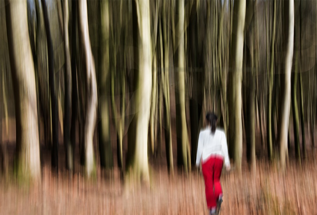 Ping Lin photography