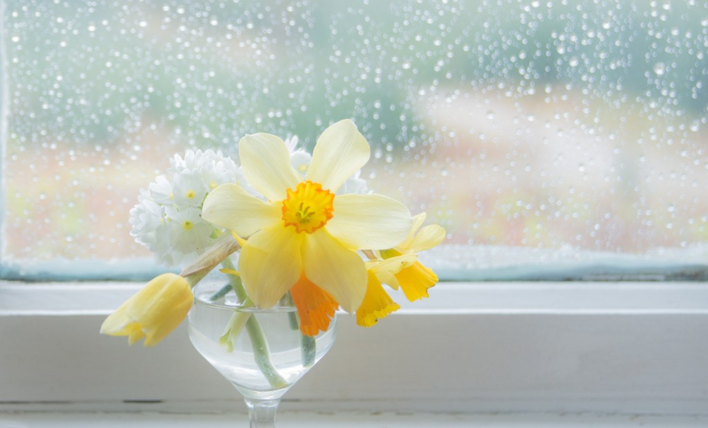 Ping Lin Photography